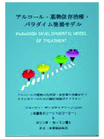 Paradigm Developmental Model of Treatment Japanese Edition cover
